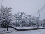 خراسان جنوبی سفیدپوش شد