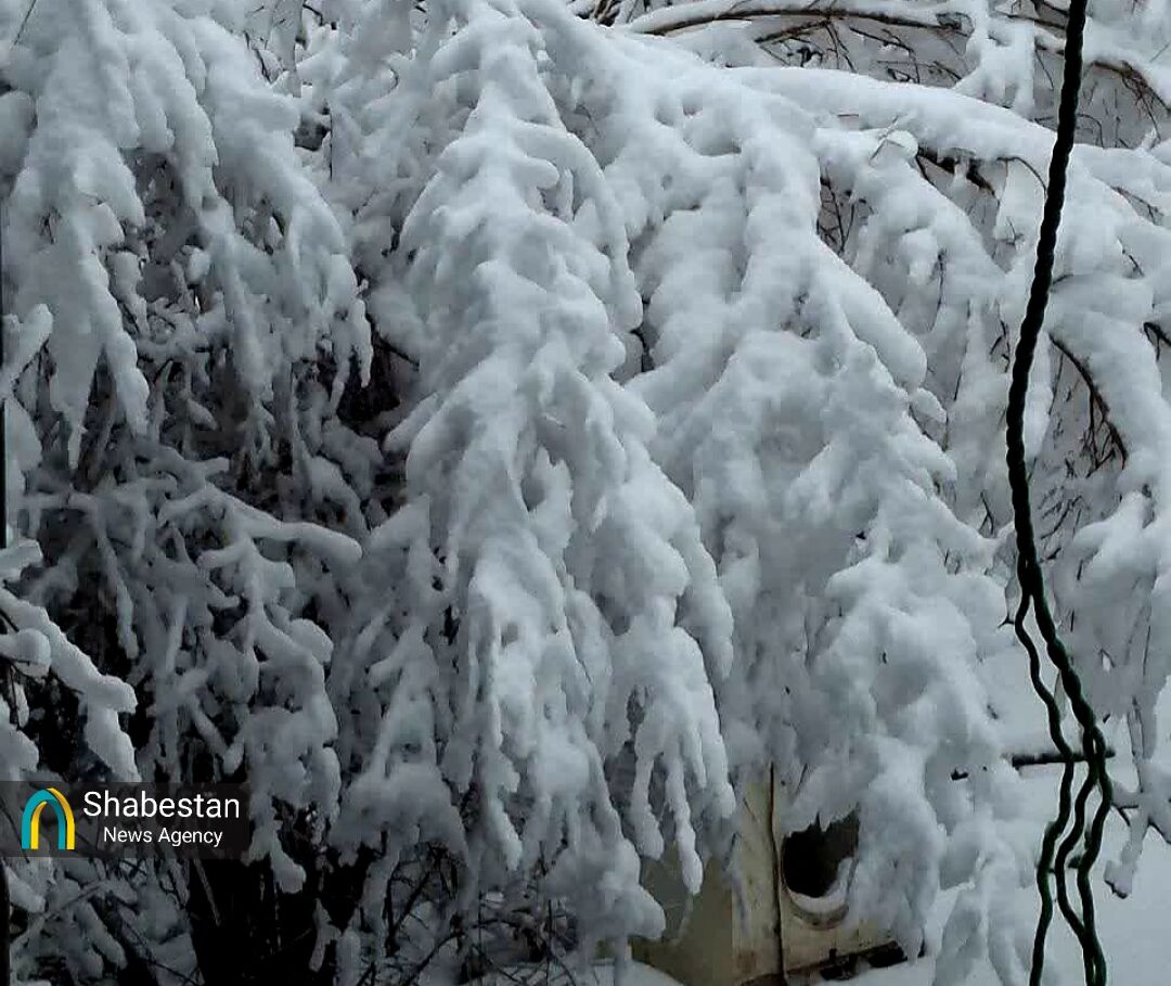 برف یک متری در سربیژن/ بارش‌ها در استان کرمان تاکنون بدون خسارت‌