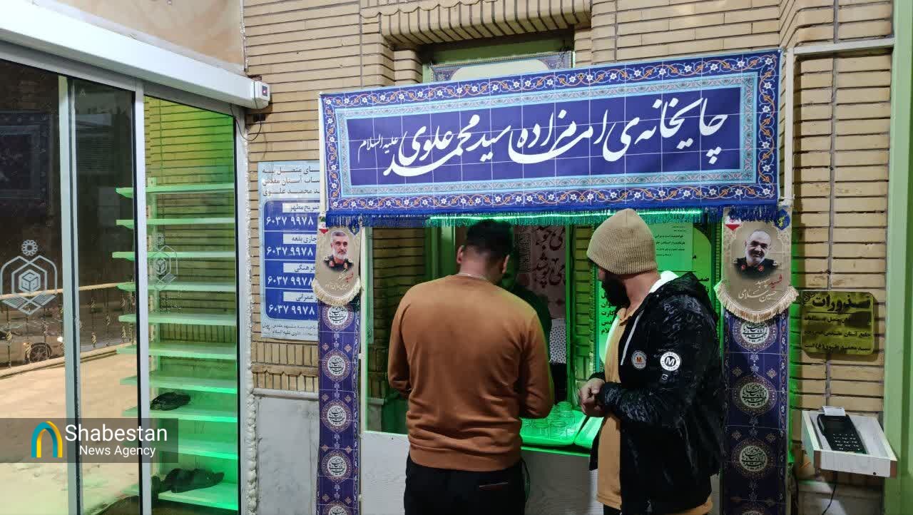 امامزادگان، پناه در راه ماندگان