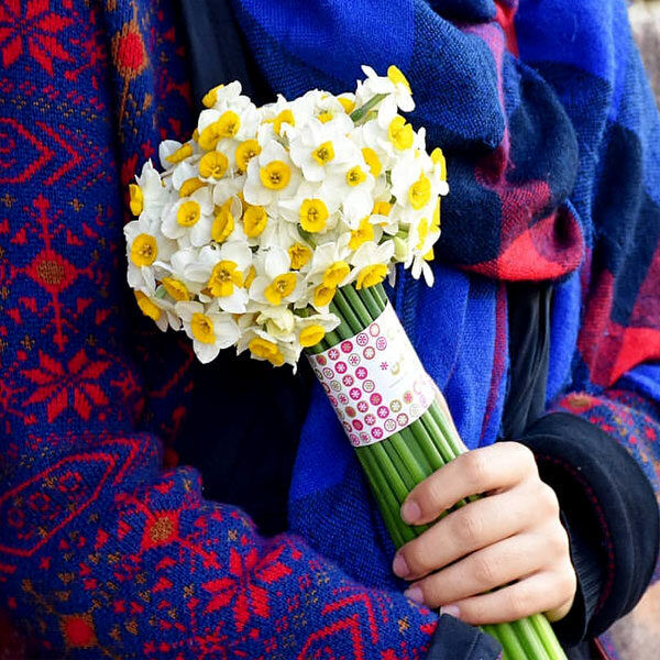 نرگس شیراز و هوای شاعرانه؛ اقدام فرهنگی دختران مسجدی در تکریم مادران