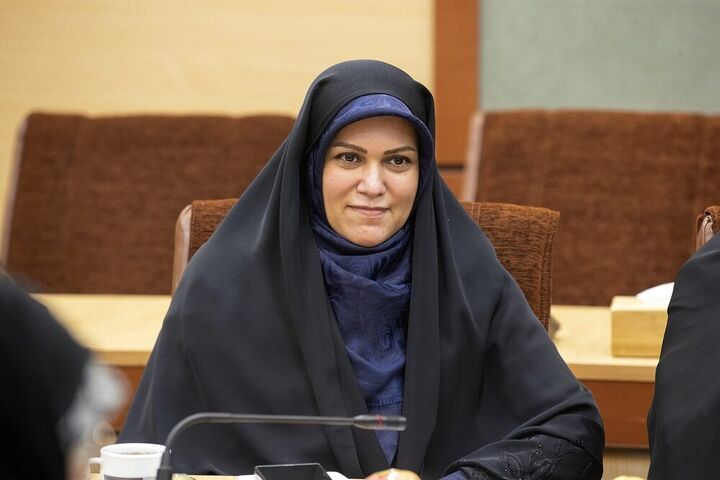 درخواست ویژه رییس فراکسیون زنان و خانواده از رئیس عدلیه