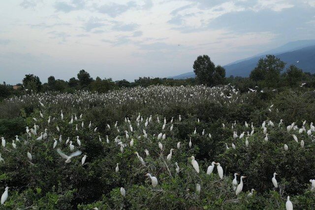 کابوک»؛ روایت یک خانواده در دوراهی طبیعت و معیشت