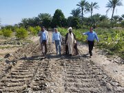 اخطار صریح فرماندار رودان درباره خطر قریب‌الوقوع سیلاب ابنما