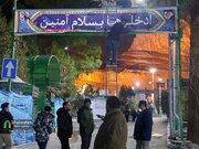 گلزار شهدای کرمان در استقبال از هفته مقاومت