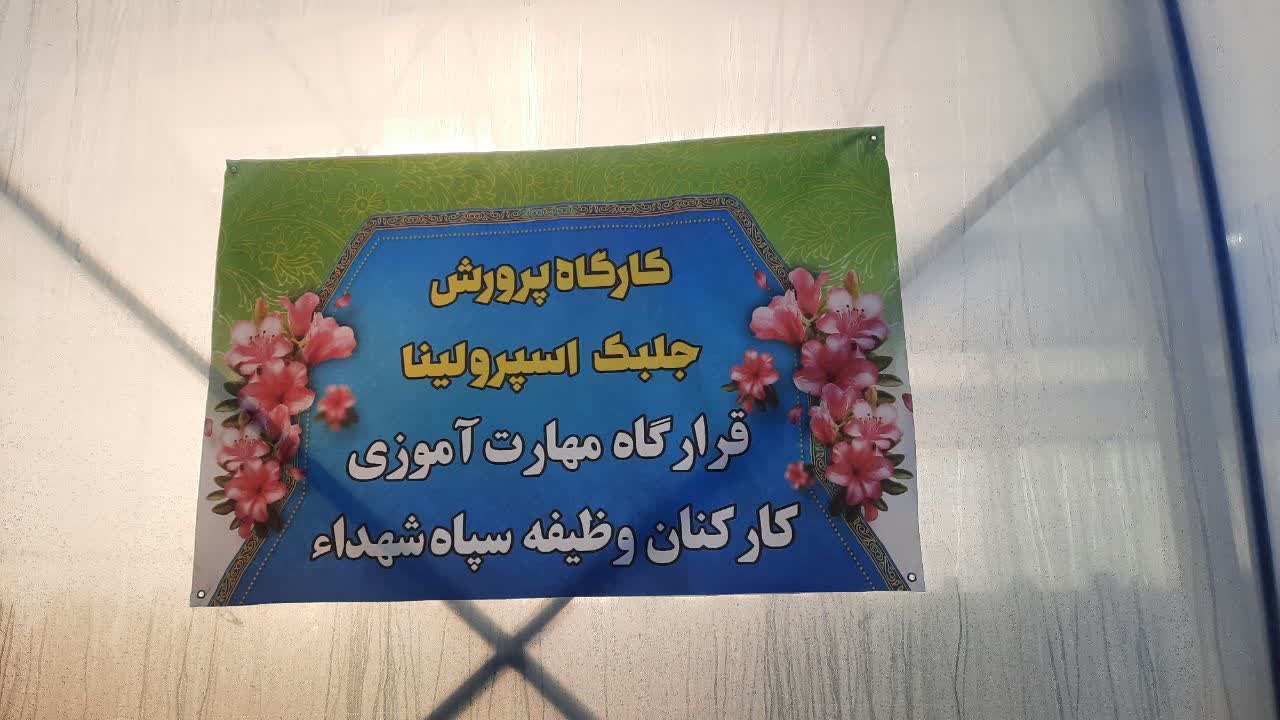 افتتاح نخستین استخر تولید جلبک اسپیرولینای کشور در ارومیه