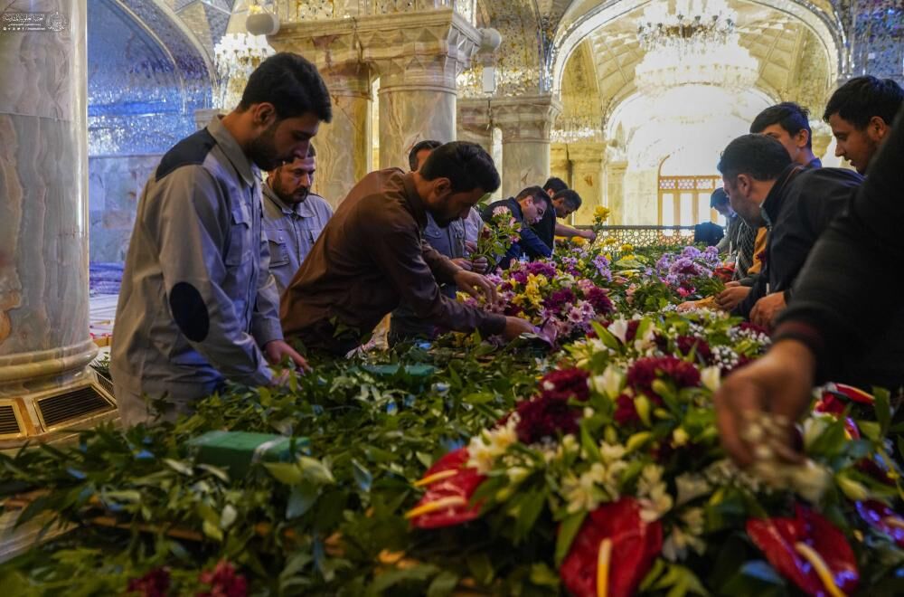 آماده‌سازی یک‌میلیون شاخه گل طبیعی برای تزیین حرم مطهر علوی
