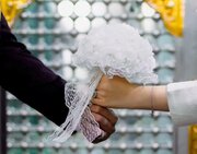 پیوند آسمانی زوج جوان در جوار حرم مطهر امامزاده قاسم(ع) آران و بیدگل