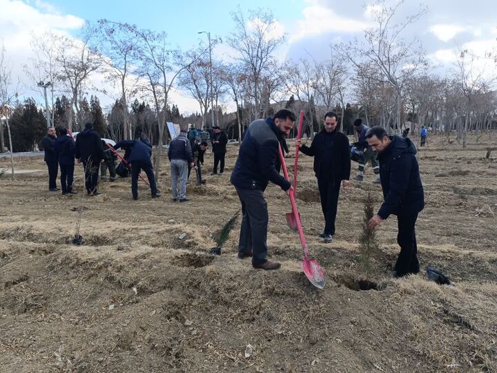 کاشت ۶۳۰ نهال به نیت شهید سلیمانی در پویش «درختکاری به یاد پدر»