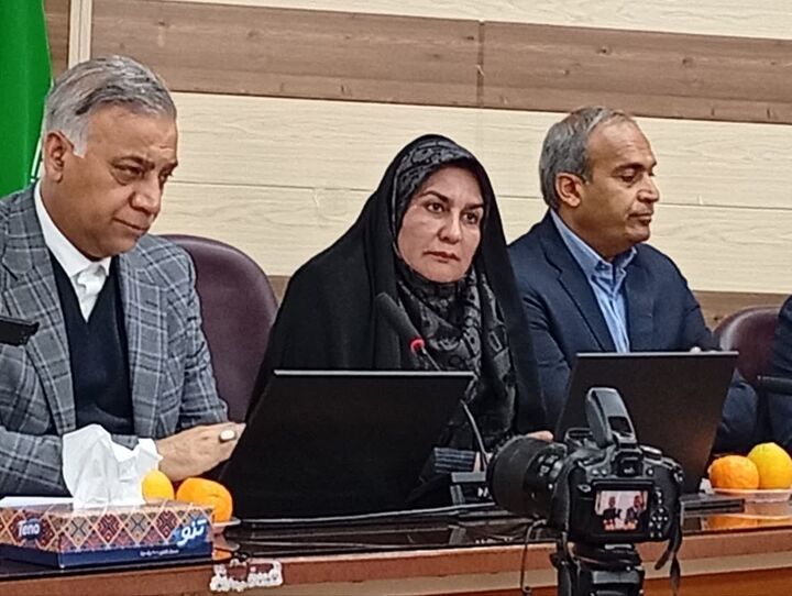 ایجاد کارخانه‌های فرآوری حلقه گمشده توسعه معادن جیرفت است  