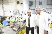 بازدید معاون وزیر تعاون  کار و رفاه اجتماعی از شرکت فرآورده‌های شیلاتی بندرعباس