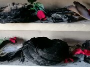 خسارت گسترده اغتشاشگران به حوزه علمیه قاین