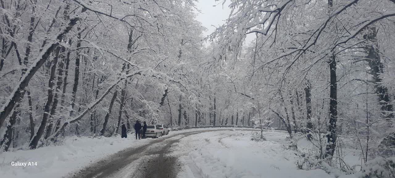 سفیدپوشی مازندران در پی بارش سنگین برف