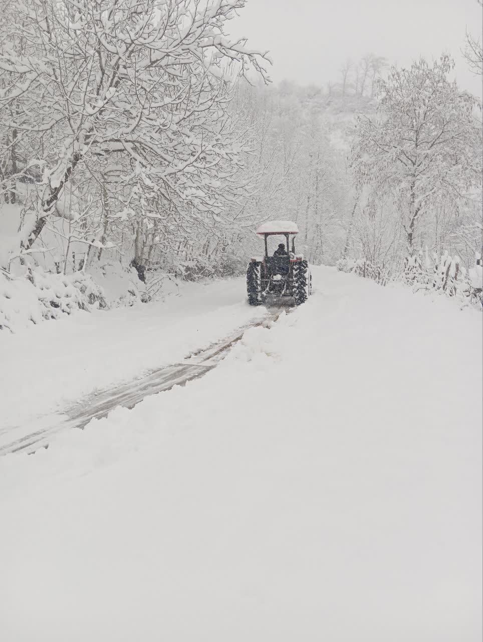 سفیدپوشی مازندران در پی بارش سنگین برف