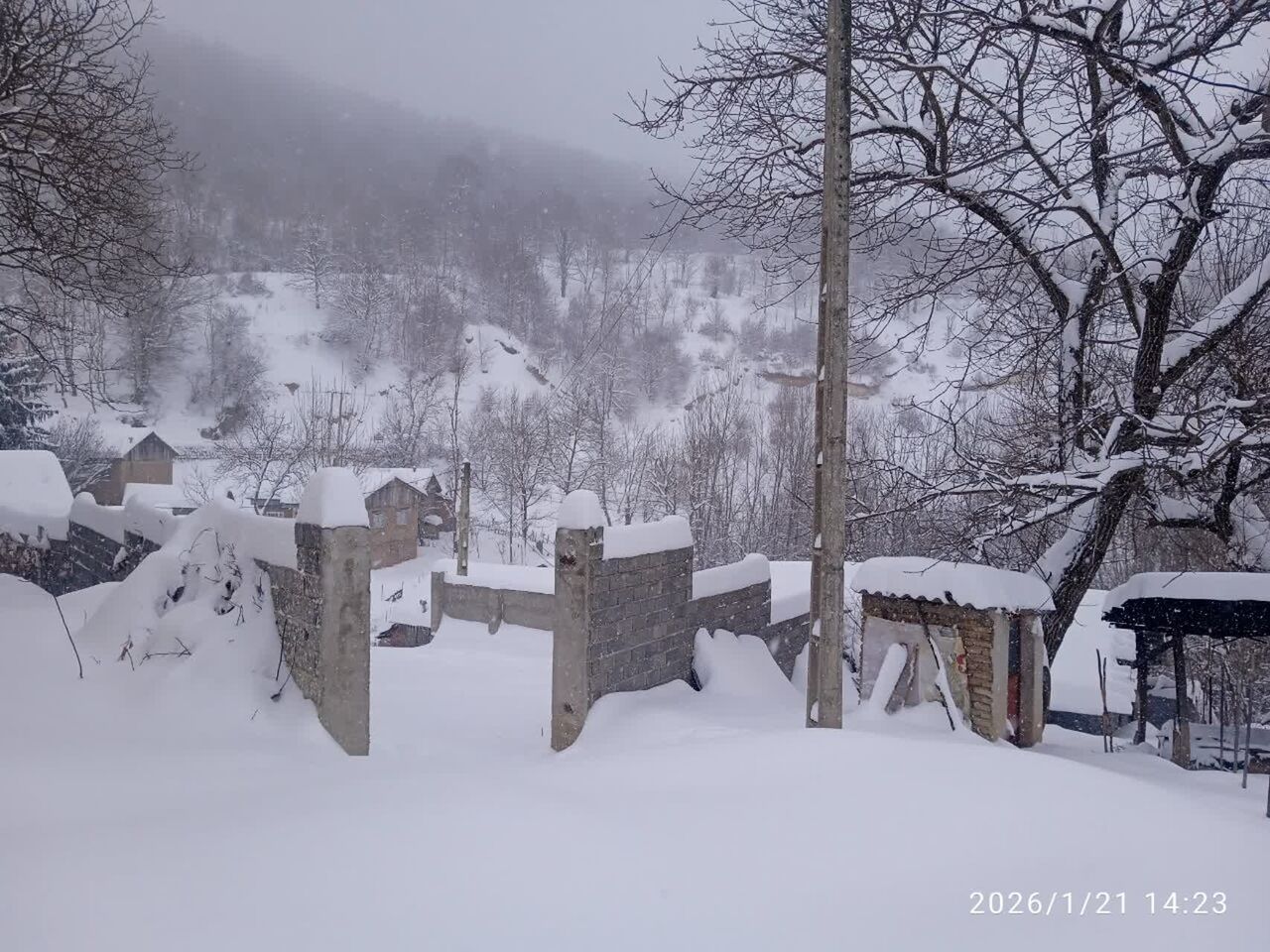 سفیدپوشی مازندران در پی بارش سنگین برف