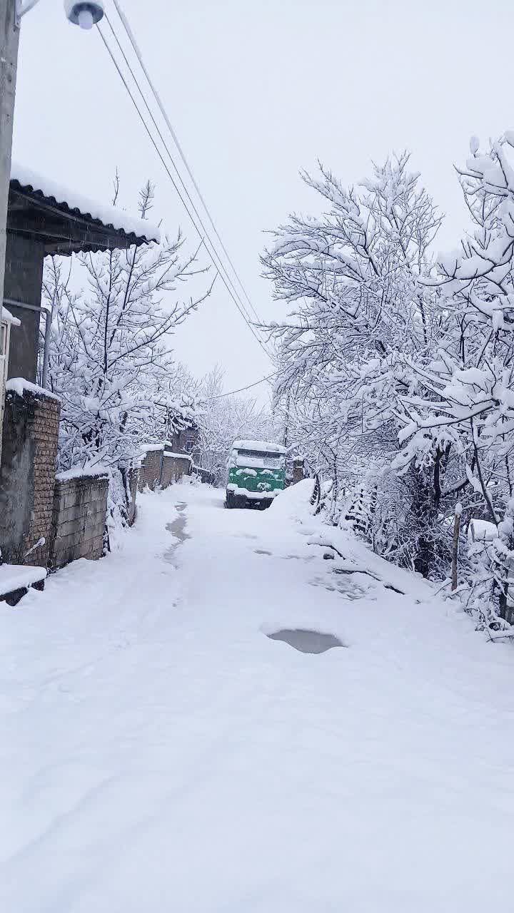 سفیدپوشی مازندران در پی بارش سنگین برف