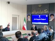 فروشگاه‌های زنجیره ای تخم مرغ مورد نیاز را از تولیدات خراسان جنوبی تامین کنند