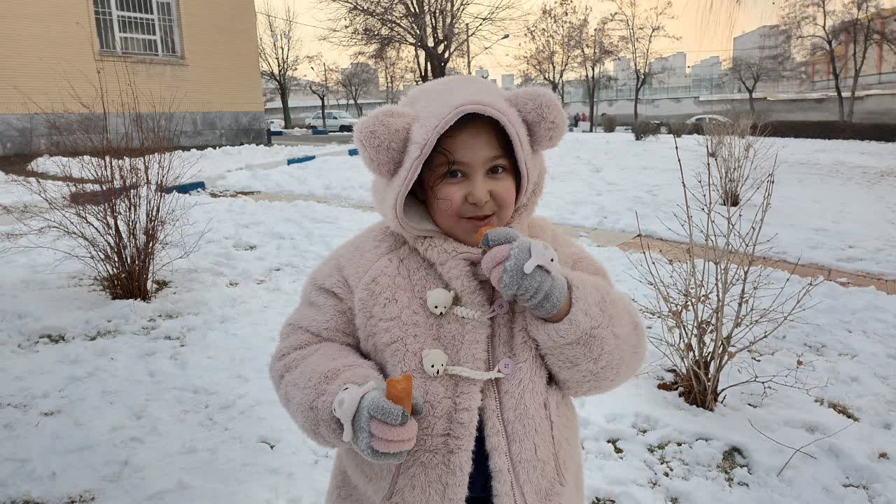 شادی کودکانی که با برف‌بازی گره خرده است