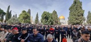 اقامه نماز جمعه ده‌ها هزار فلسطینی در مسجدالاقصی