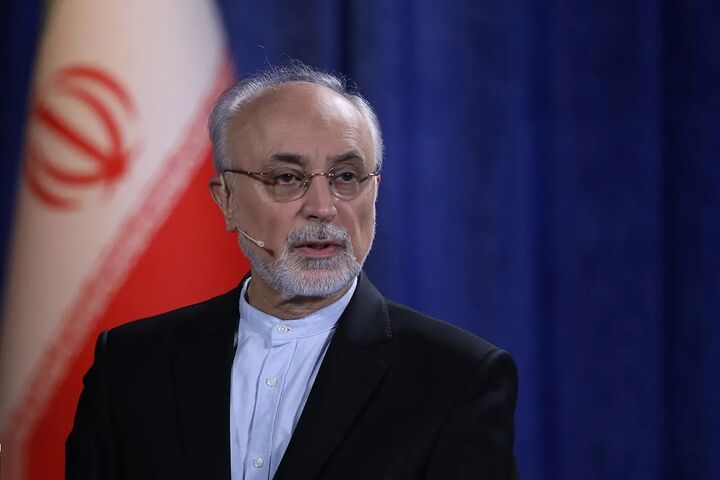 فلسفه شیر و خورشید از حضرت علی (ع)، دین و هویت ایرانی است