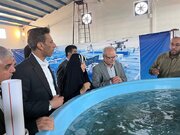 افتتاح مرکز تکثیر، نوزادگاهی و مولدسازی ماهیان دریایی ۱۰میلیون قطعه‌ای در قشم