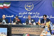 توسعه کشاورزی گلستان با اتکای ۹۰ درصدی به سرمایه‌گذاران بخش خصوصی