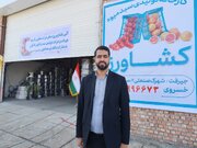 حمایت از الگوهای موفق تعاونی، در اولویت است