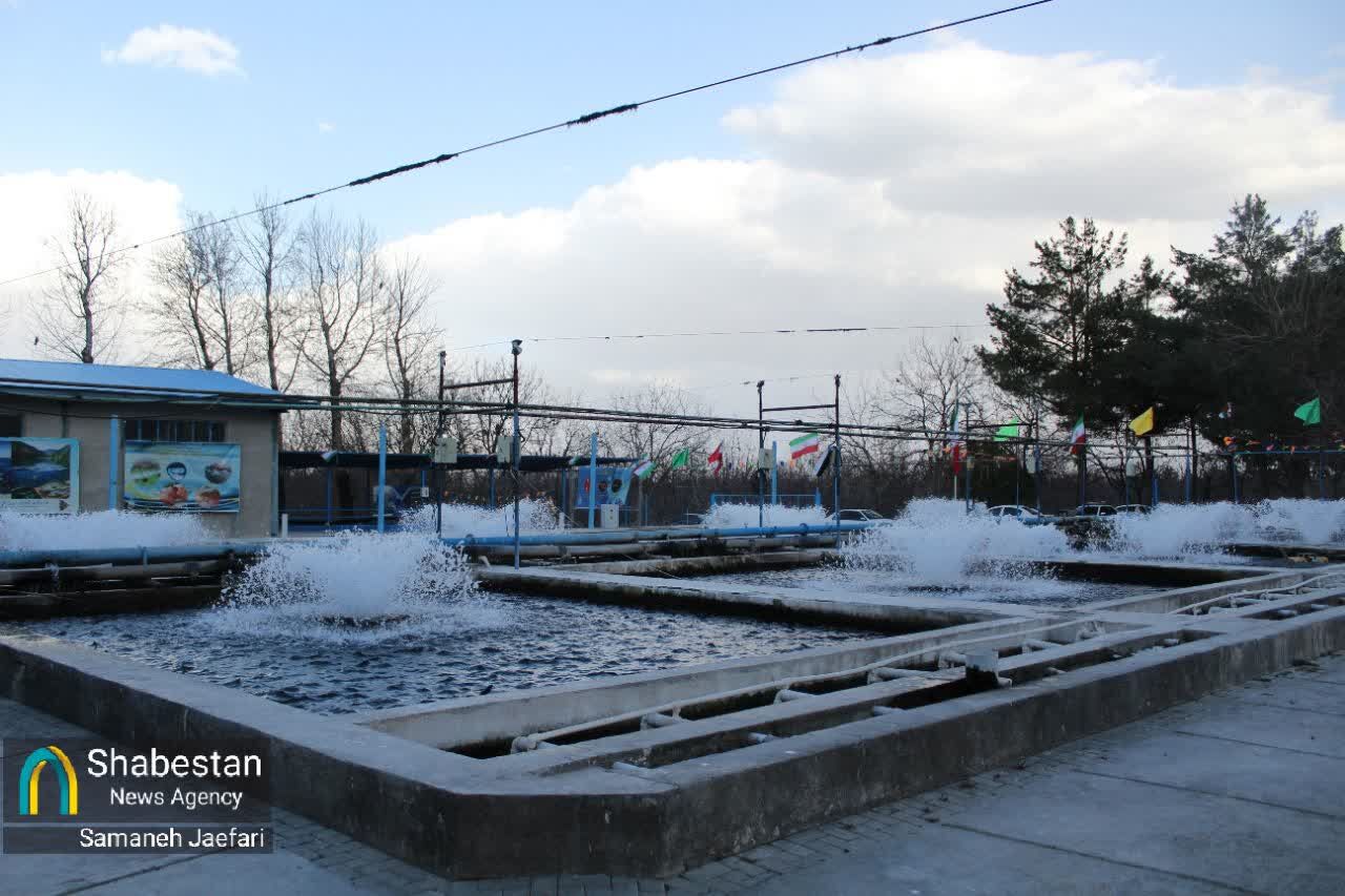 وحدت ملی و تبعیت از ولایت عوامل اقتدار نظاماند/ ۲۲ بهمن توطئههای دشمن را خنثی کرد