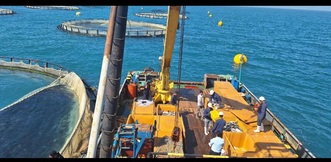 بوشهر در مسیر تبدیل به قطب ملی آبزیپروری/میدانداری وقف در اقتصاد دریامحور