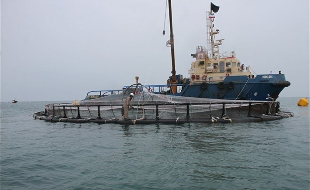 روایت سرمایه‌گذاری اوقاف و اشتغال بومی در آبزیستان/بزرگ‌ترین مزرعه آبزی‌پروری در خلیج فارس