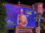 چهره‌ای برای یک سال پرتحول؛ هنر انقلاب در جست‌وجوی نماینده شاخص فارس