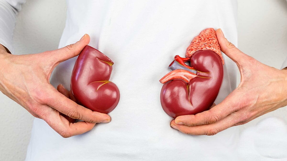 روزه‌داری هوشمندانه؛ راهی برای حفظ سلامت کلیه‌ها