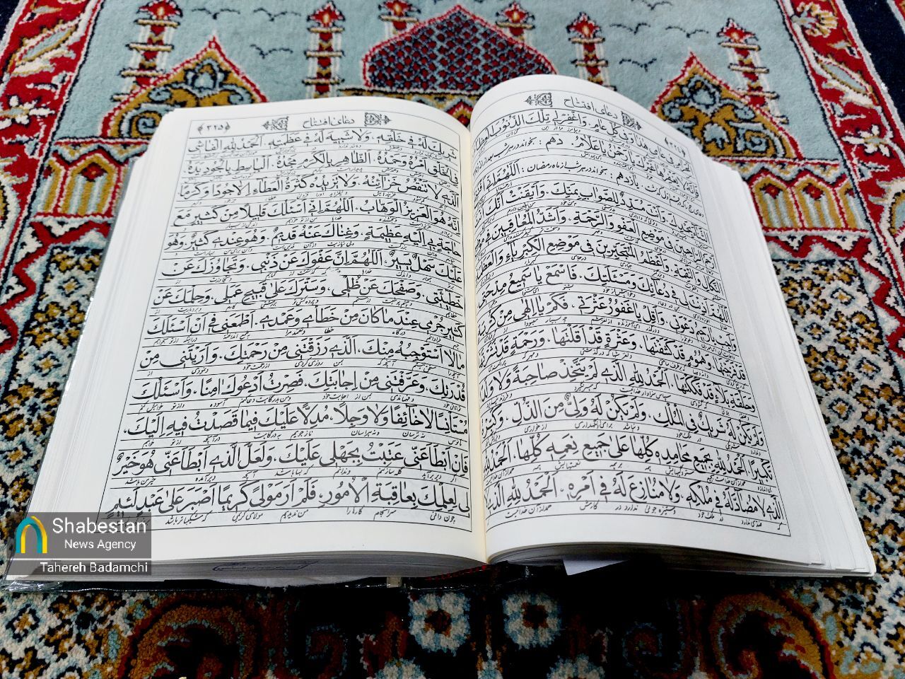 سهشنبههای مهدوی در بوستان رمضان/ از نجوای امام زمانی تا نوای علی اصغری