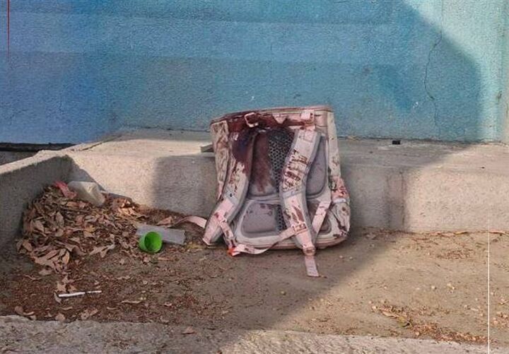 یادداشت نویسنده معروف روسیه: در مدرسه میناب، بمب هسته‌ای نمی‌ساختند