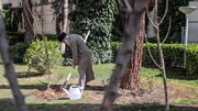 فردا، ۹ صبح؛ ایران نهال می‌کارد