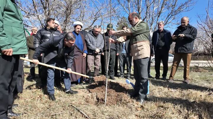 آیین کاشت نهال به مناسبت روز درختکاری در زنجان برگزار شد