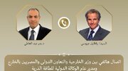 تماس تلفنی وزیر خارجه مصر و گروسی درباره تحولات منطقه