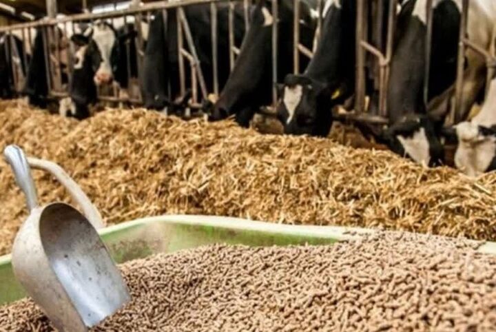 بیش از ۲ هزار تن انواع خوراک آماده طیور در جهت پایداری تولید در آذربایجان‌غربی تولید شد