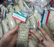 میدان‌داری بانوان ایرانی به وقت جنگ