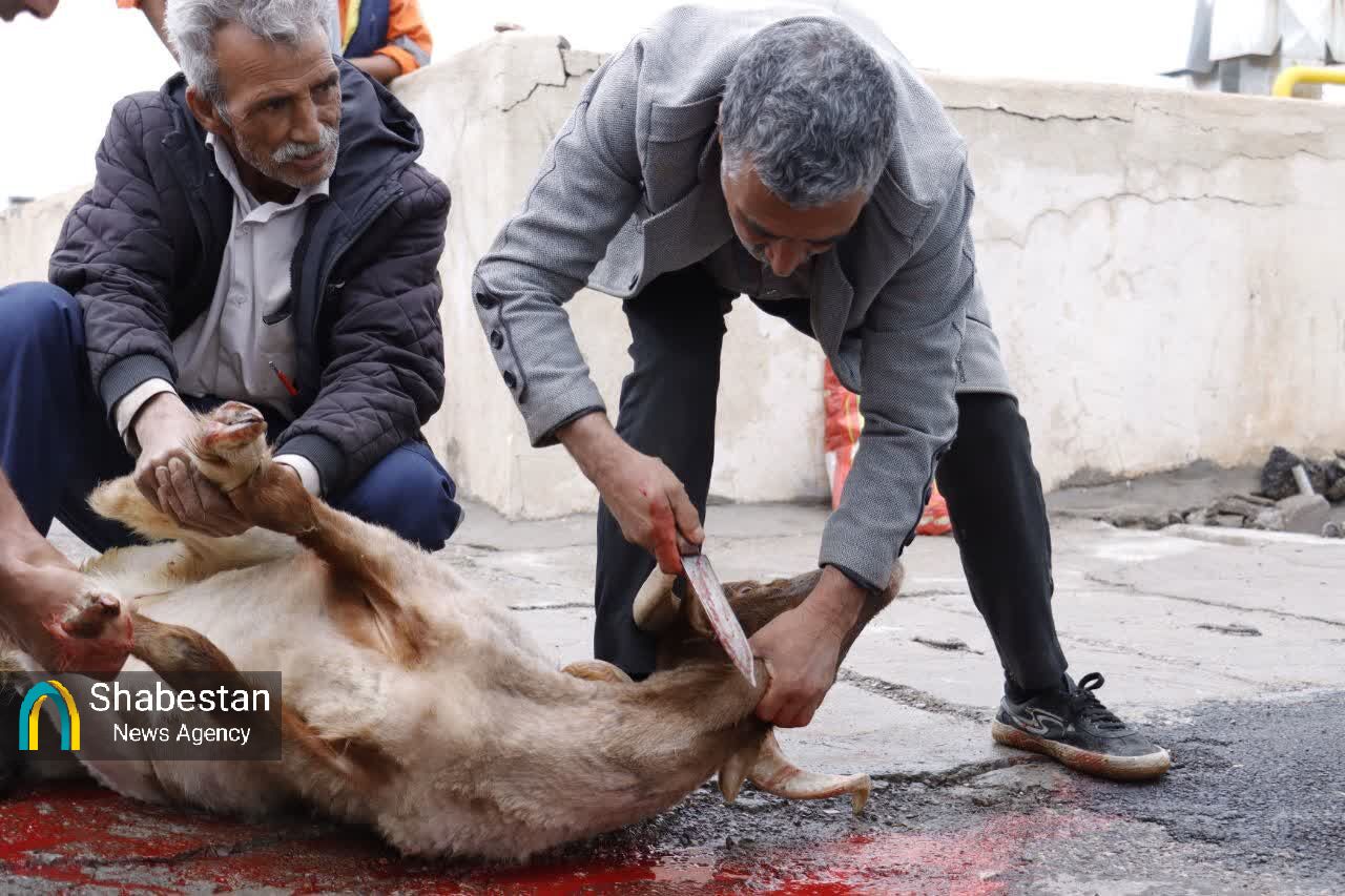 نذر قربانی ستاد نمازجمعه کرمان برای پیروزی رزمندگان اسلام