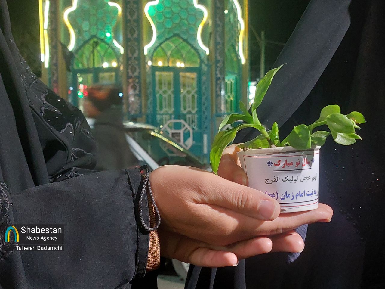 کاشتن یک گل به نیت امام زمان/ روایت یک عهد دخترانه پای هفتسین مهدوی