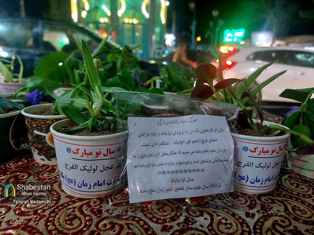 کاشتن یک گل به نیت امام زمان/ روایت یک عهد دخترانه پای هفتسین مهدوی