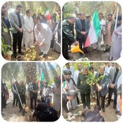 غرس نهال به یاد شهدای مقاومت در ایرانشهر