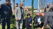 بچه‌های مساجد مازندران به پویش سراسری «سرو ایران» پیوستند/ غرس نهال در لبیک به منویات رهبری