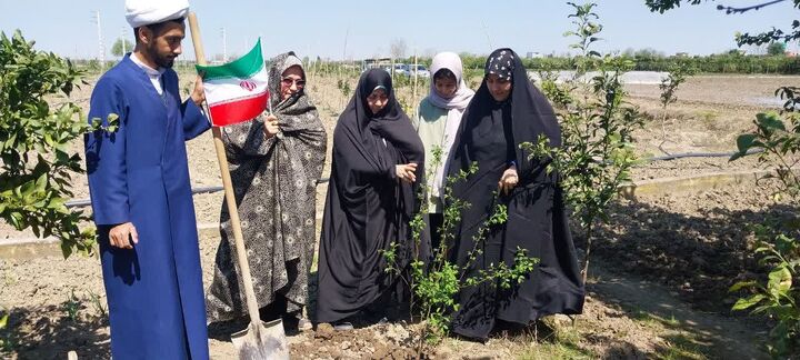 غرس نهال ایمان در روز طبیعت؛ مردم قائم‌شهر به توصیه رهبری نهال کاشتند