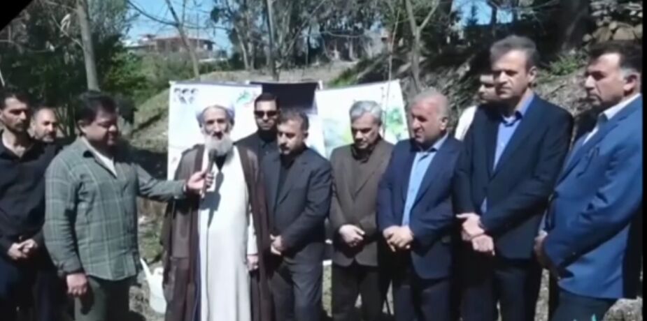 روز طبیعت در مازندران با بوی خاک و امید؛ روایت پویش ایستاده چون سرو
