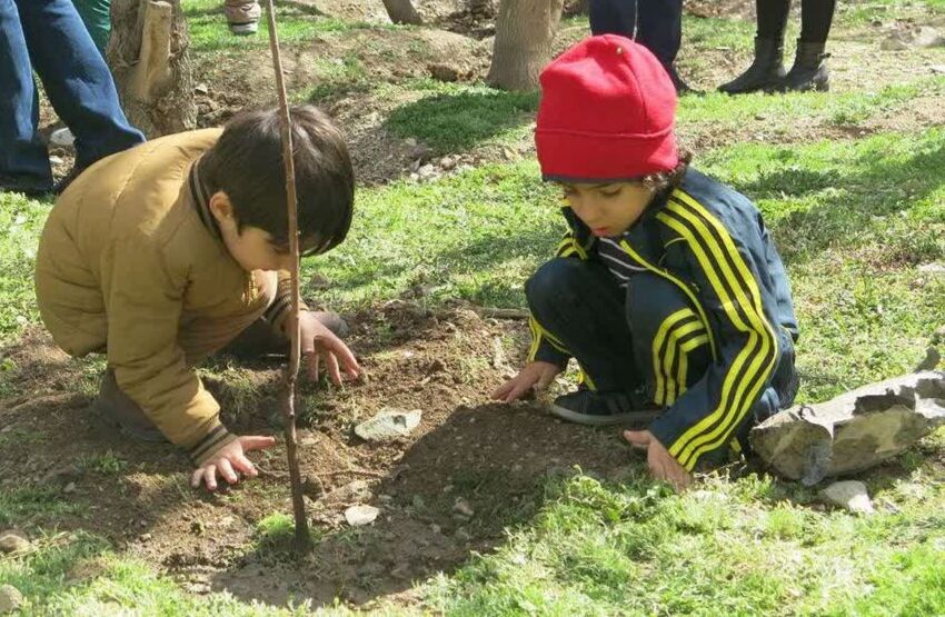 روز طبیعت در مازندران با بوی خاک و امید؛ روایت پویش ایستاده چون سرو