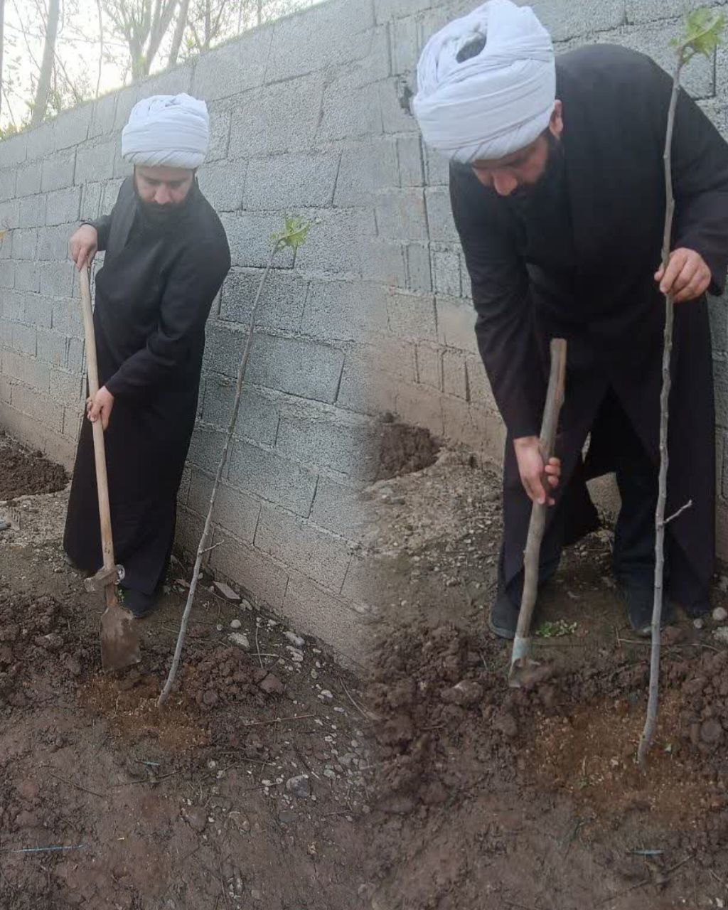 کاشت نهال به یاد شهدای شجره طیبه در سنگر