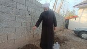 کاشت نهال به یاد شهدای شجره طیبه در سنگر