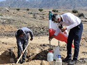 جیرفتی‌ها نهال امید کاشتند