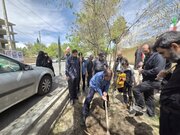 اهالی مسجدالرسول(ص) شیراز به یاد شهدای جنگ درخت کاشتند